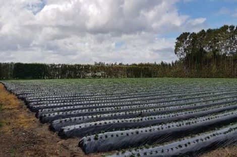 Photo of property in 328 Riverhead Road, Riverhead, 0892