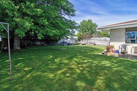 Photo of property in 42 Oak Street, Masterton, 5810