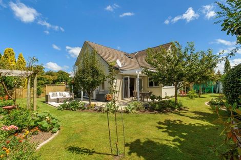 Photo of property in 14 Chelsea Court, Bethlehem, Tauranga, 3110