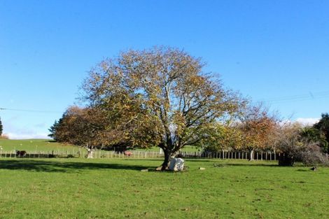 Photo of property in 346 Umutaoroa Road, Dannevirke, 4978