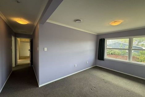 Photo of property in 13 Freemont Street, Chartwell, Hamilton, 3210