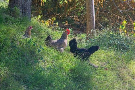 Photo of property in 326c Matokitoki Valley Road, Matokitoki, Gisborne, 4071