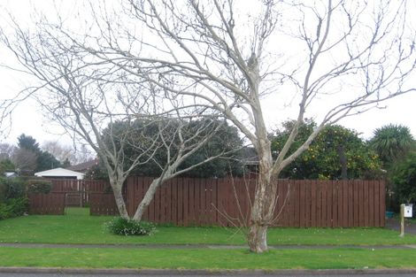 Photo of property in 133a Settlement Road, Papakura, 2110