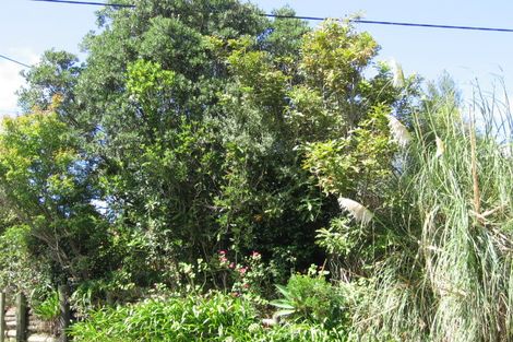 Photo of property in 33 Braemar Road, Castor Bay, Auckland, 0620