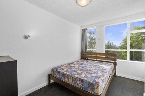 Photo of property in Greenmantle Flats, 88a Salamanca Road, Kelburn, Wellington, 6012