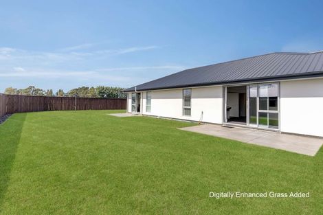 Photo of property in 41 Ashbury Drive, Tinwald, 7774