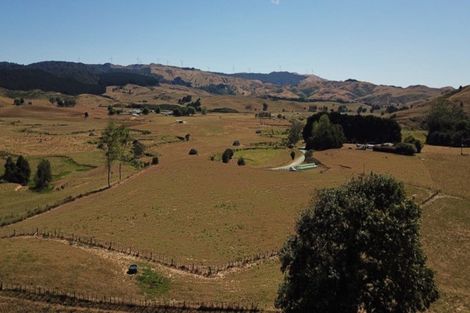 Photo of property in 777 Waitetuna Valley Road, Waitetuna, Raglan, 3295