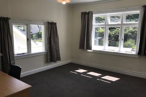 Photo of property in 217 Aro Street, Aro Valley, Wellington, 6021