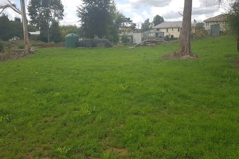 Photo of property in 13a Kawana Street, Piopio, 3912