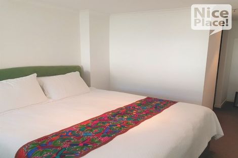 Photo of property in Augusta Apartments, 23/254 Willis Street, Te Aro, Wellington, 6011