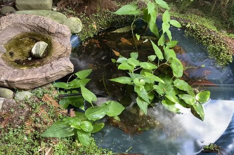 Photo of property in 9 Truscott Grove, Awapuni, Palmerston North, 4412