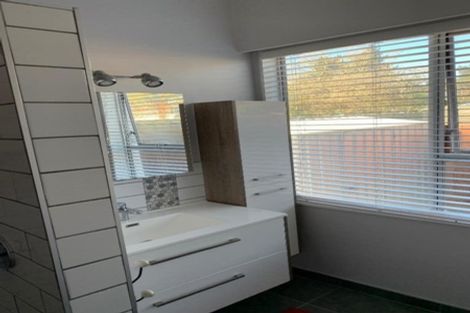 Photo of property in 115 Rimu Street, Maeroa, Hamilton, 3200