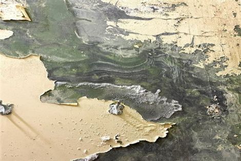 Photo of property in Clark House, 59/25 Clark Road, Hobsonville, Auckland, 0616