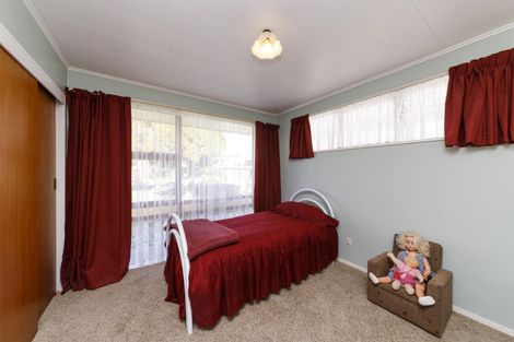 Photo of property in 19 Opawa Place, Terrace End, Palmerston North, 4410