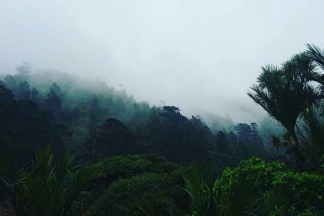 Photo of property in 77 Karekare Road, Karekare, Auckland, 0772