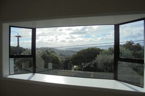 Photo of property in 148 The Ridgeway, Mornington, Wellington, 6021