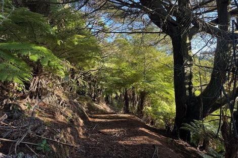 Photo of property in 211 Krippner Road, Puhoi, Warkworth, 0994