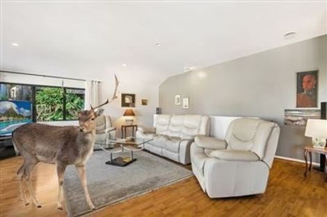 Photo of property in 29 Mariners View Road, Beach Haven, Auckland, 0626