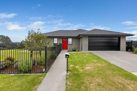 Photo of property in 62 Papawhero Drive, Bell Block, New Plymouth, 4312