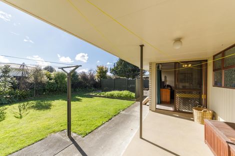 Photo of property in 19 Opawa Place, Terrace End, Palmerston North, 4410