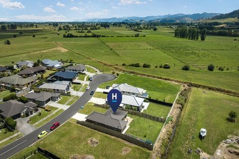 Photo of property in 6 Fern Rise, Paeroa, 3600