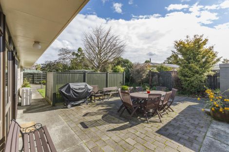 Photo of property in 19 Opawa Place, Terrace End, Palmerston North, 4410