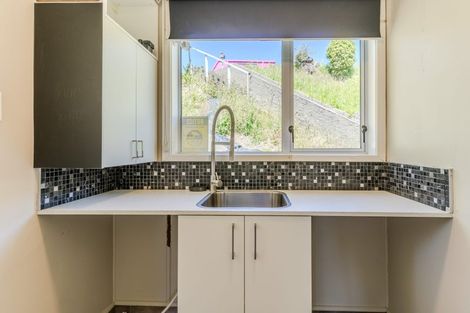 Photo of property in 20 Panmure Avenue, Calton Hill, Dunedin, 9012