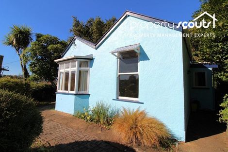Photo of property in 50 Carson Street, Mornington, Dunedin, 9011