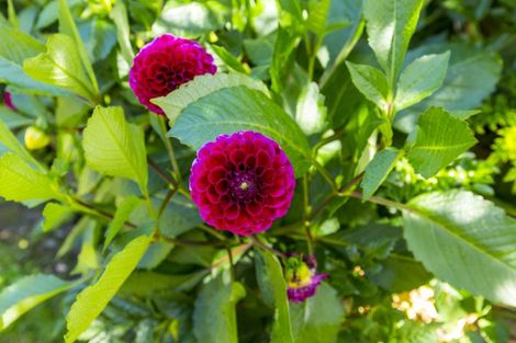 Photo of property in 2 Pokaka Street, Birchville, Upper Hutt, 5018