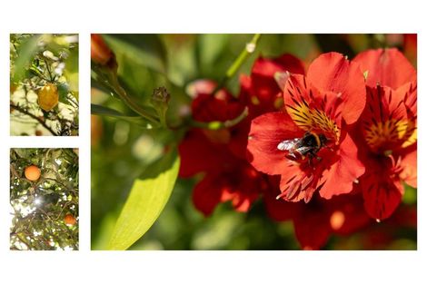 Photo of property in 39 Westwood Street, Bellevue, Tauranga, 3110