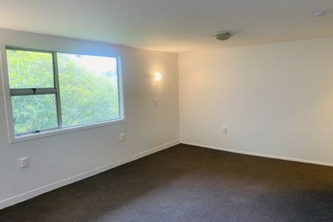 Photo of property in 51 Mount Pleasant Road, Aro Valley, Wellington, 6012