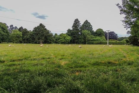 Photo of property in Sundrum, 52 Rae Road, Woodbury, Geraldine, 7991