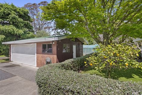 Photo of property in 21 Rea Road, Tahawai, Katikati, 3178