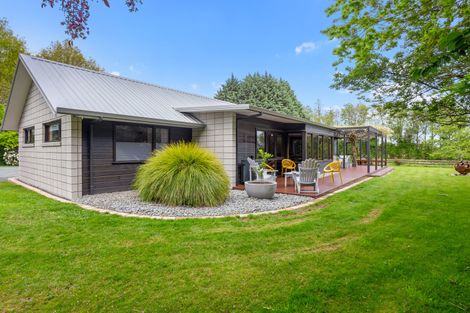 Photo of property in 27a Sheffield Street, Matamata, 3400