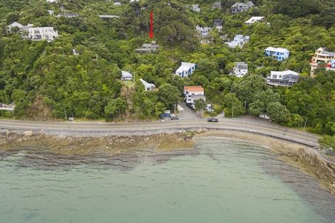 Photo of property in 125c Marine Drive, Sorrento Bay, Lower Hutt, 5013