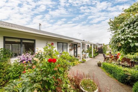 Photo of property in 101 Lincoln Street, Ashhurst, 4810