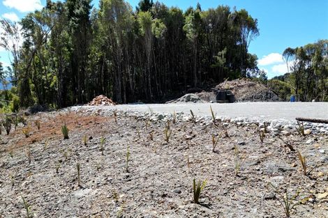 Photo of property in 82 Omoto Valley Road, Kaiata, Greymouth, 7805