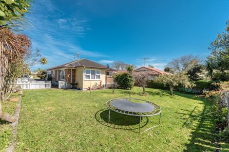Photo of property in 170c Nixon Street, Hamilton East, Hamilton, 3216