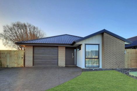 Photo of property in 27 Mills Road, Marshland, Christchurch, 8051
