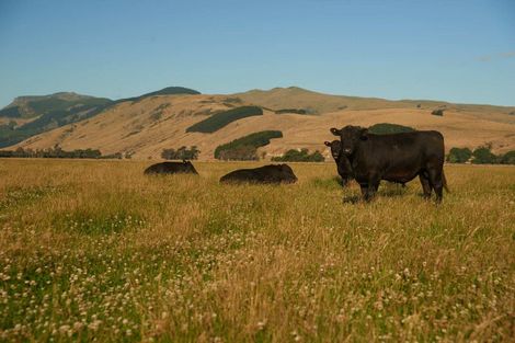 Photo of property in 247 Seabridge Road, Motukarara, Christchurch, 7672