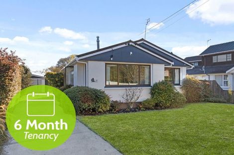 Photo of property in 17 Mcsaveneys Road, Marshland, Christchurch, 8051
