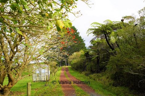 Photo of property in 533 Pataua South Road, Pataua South, Onerahi, 0192