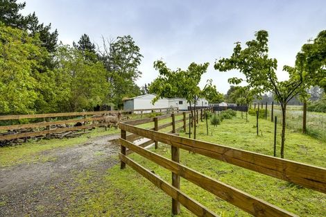 Photo of property in 2023 Puketitiri Road, Rissington, Napier, 4184