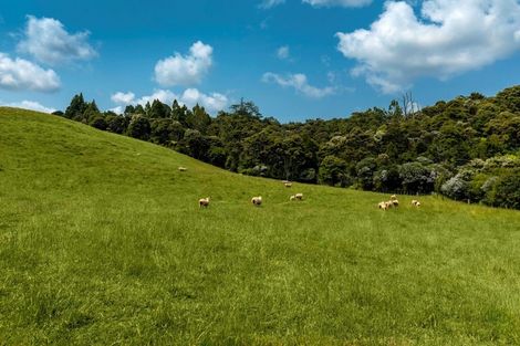 Photo of property in 208 Sunnyside Road, Coatesville, Albany, 0793