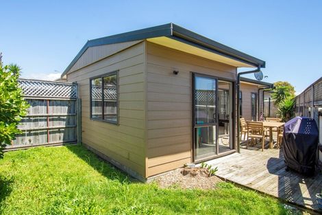 Photo of property in 43b Farm Street, Mount Maunganui, 3116