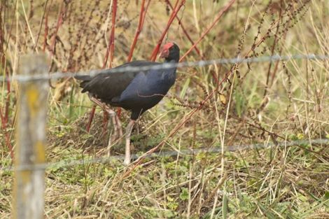 Photo of property in 21 Ballard Drive, Stoke, Nelson, 7011