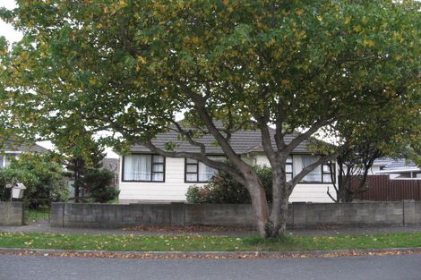 Photo of property in 45 Chapman Crescent, Naenae, Lower Hutt, 5011