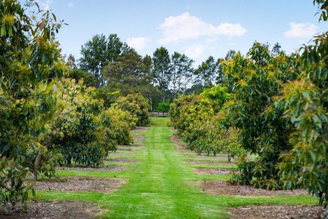 Photo of property in 41d Waiau Road, Athenree Gorge, Katikati, 3177