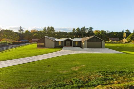 Photo of property in 573b Kuranui Road, Morrinsville, 3372