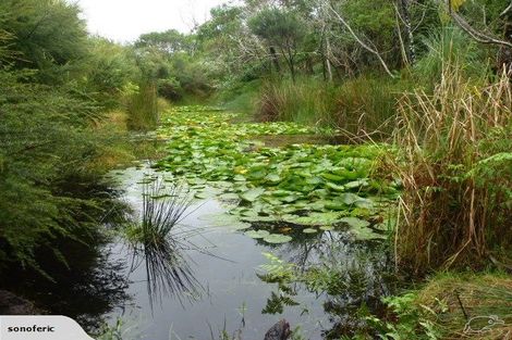 Photo of property in 355 Kimberley Road, Houhora, Pukenui, 0484